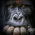 Avatar for orfeo321 from gravatar.com