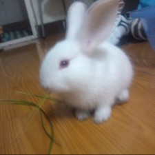 Avatar for polythene from gravatar.com