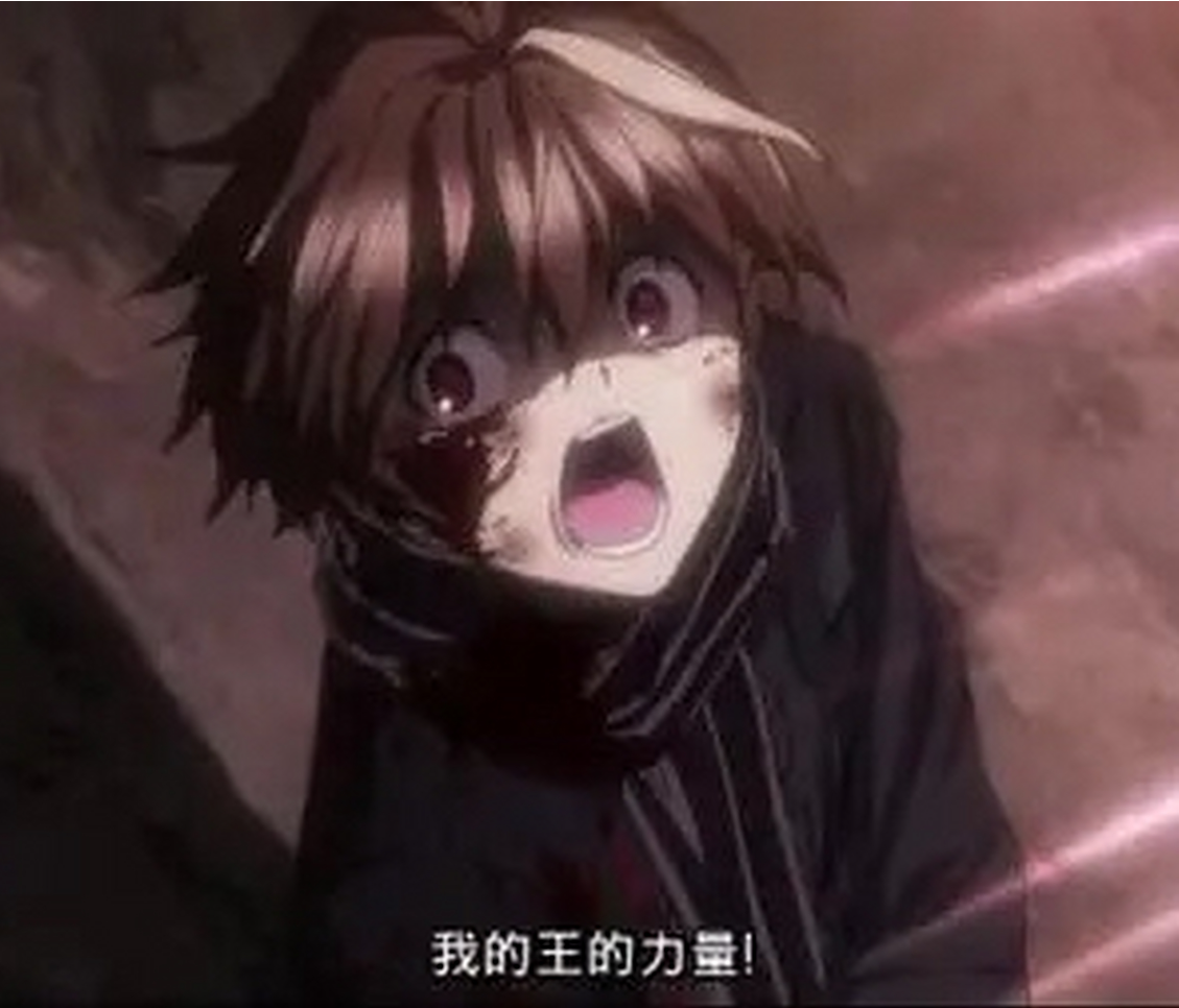 我的王之力啊！
