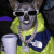 Avatar for terrencemjones from gravatar.com
