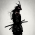 Avatar for MetallerTM from gravatar.com