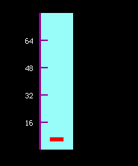 https://raw.githubusercontent.com/jposada202020/CircuitPython_scales/main/docs/scales.png
