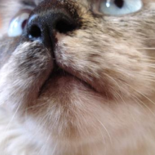 Avatar for Roberto W. Nobrega from gravatar.com