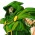 Avatar for garbage1010 from gravatar.com