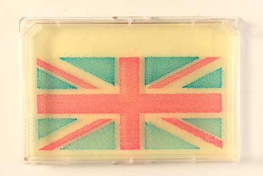 https://raw.githubusercontent.com/Edinburgh-Genome-Foundry/bioprinter/master/docs/_static/images/bioprint_england.jpeg