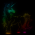Avatar for samfoster from gravatar.com
