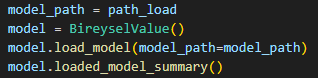Screenshot of the load_model() fun.