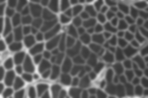 Gaussian blur — output