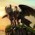 Avatar for cmjr from gravatar.com