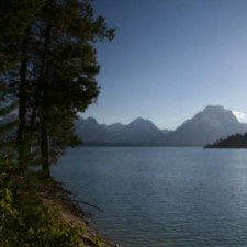 Avatar for Daniel McDonald from gravatar.com