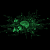 Avatar for Martimf95 from gravatar.com