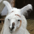 Avatar for c9m5 from gravatar.com