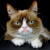 Avatar for MatesXs from gravatar.com