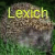 Avatar for lexich from gravatar.com