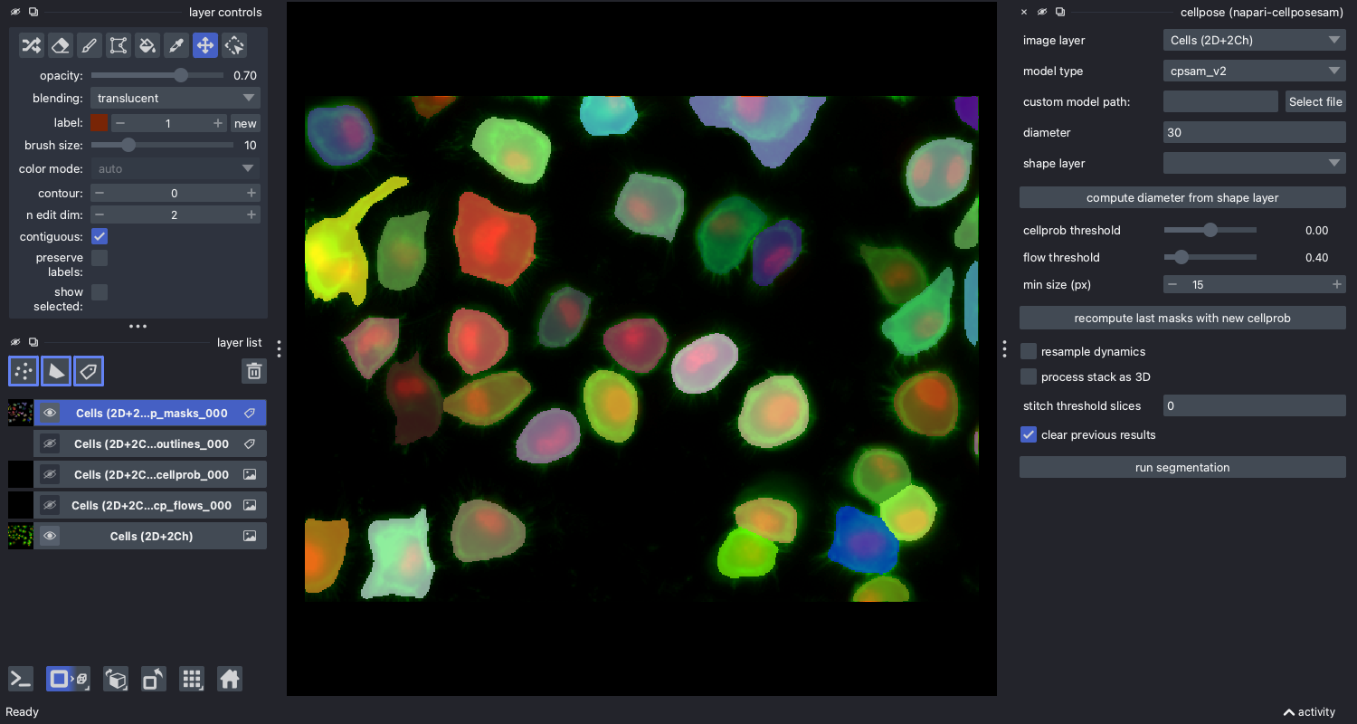 napari-cellposesam segmenting the 2D sample image