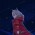 Avatar for Proxymiity from gravatar.com