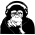 Avatar for istarnes from gravatar.com