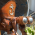Avatar for heikowagner from gravatar.com