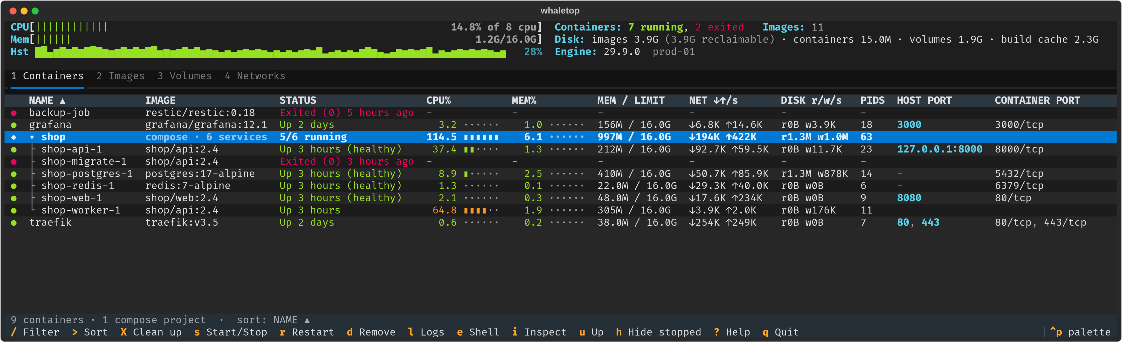 whaletop containers view