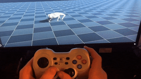 Gamepad controller interface