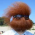 Avatar for viatoriche from gravatar.com