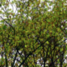 Avatar for oxys from gravatar.com