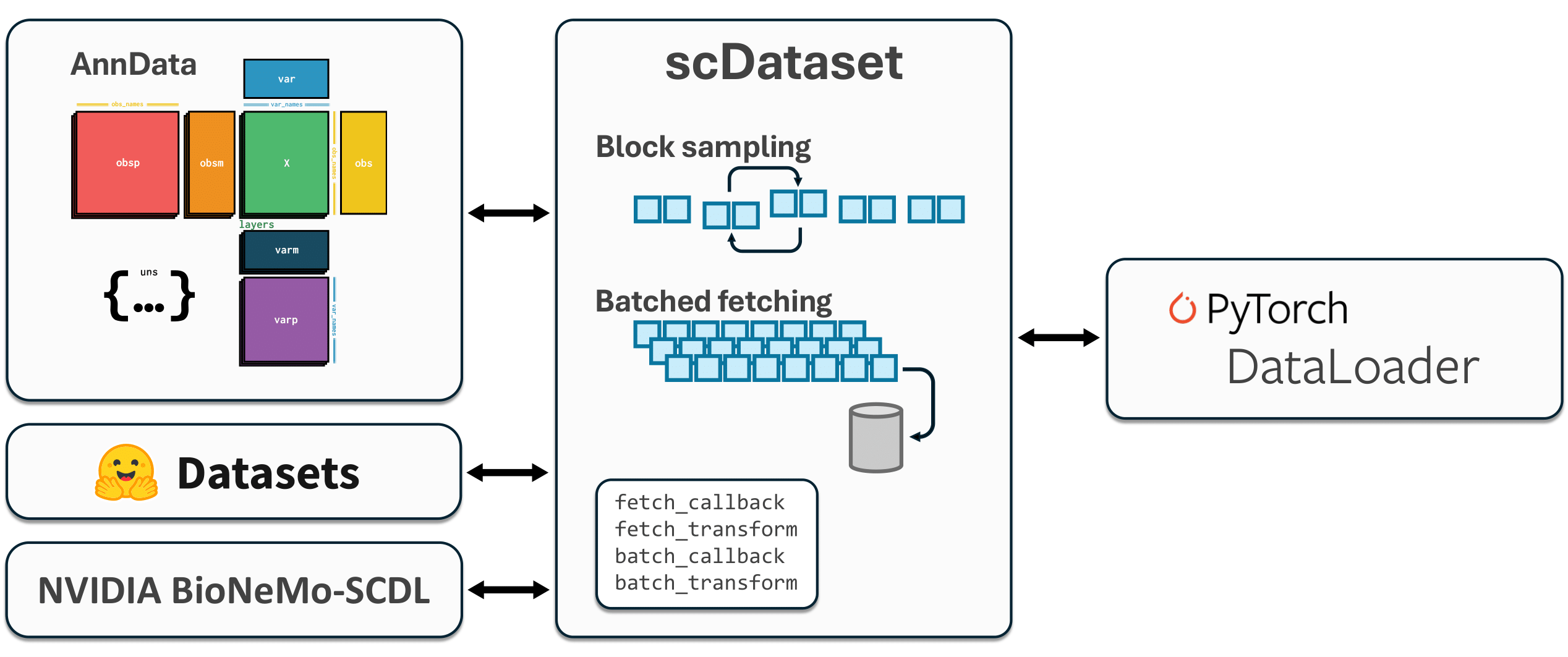 scDataset architecture