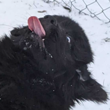 Avatar for Josh Friend from gravatar.com