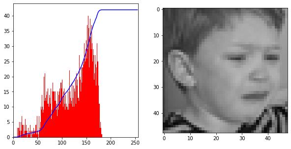 history1.png