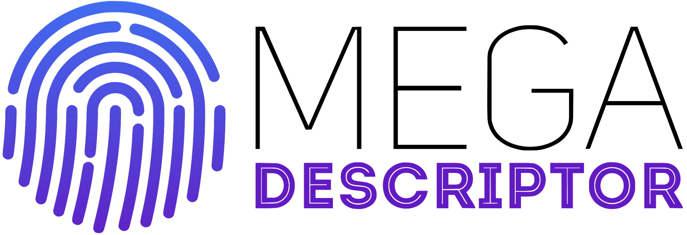 MegaDescriptor