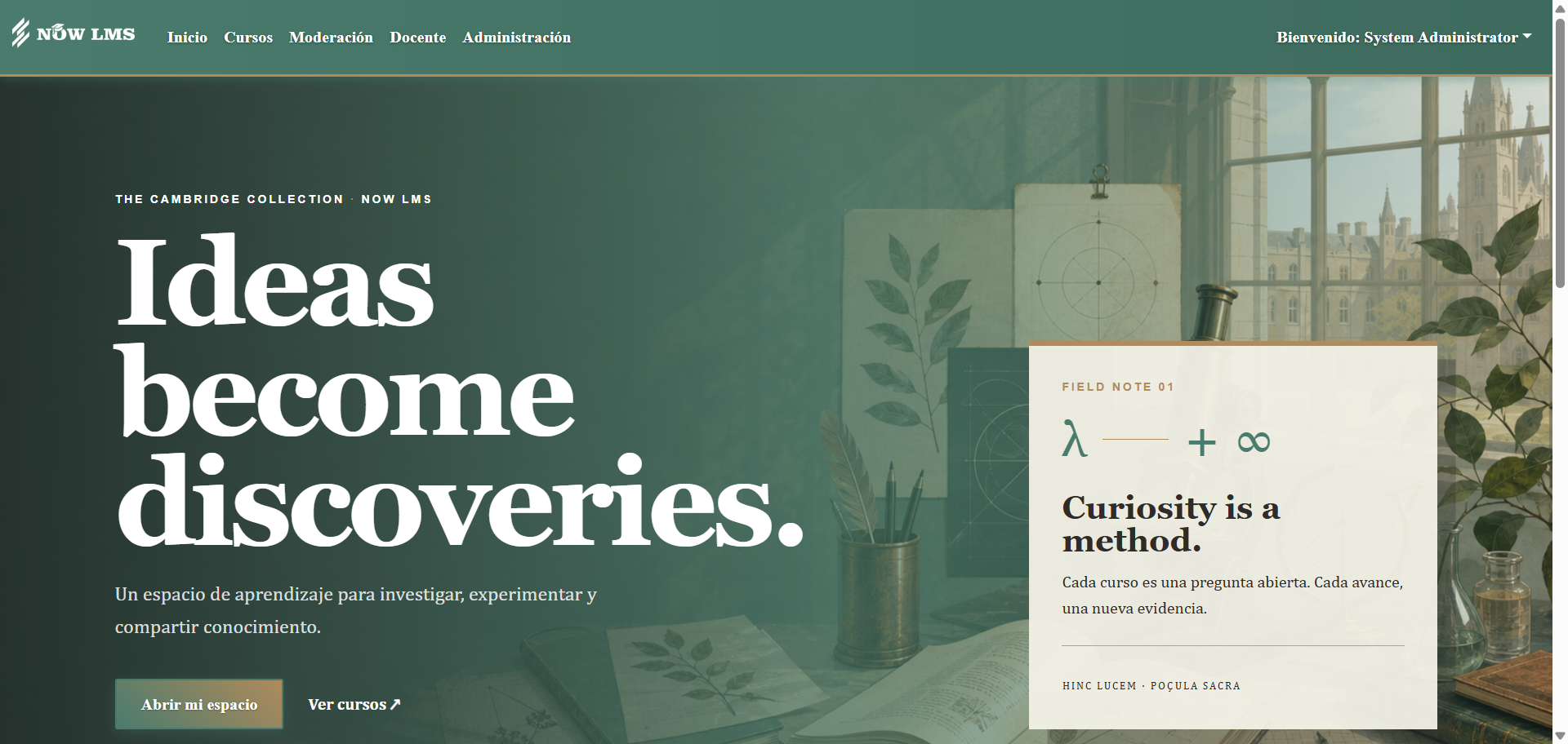 Custom theme