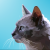 Avatar for jewon from gravatar.com