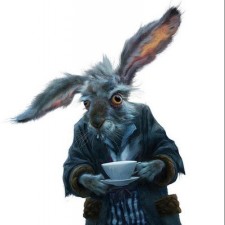 Avatar for Fabien Toune from gravatar.com