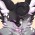 Avatar for AlexiWolf from gravatar.com