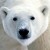Avatar for robmcelhinney from gravatar.com