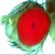 Avatar for drosofff from gravatar.com