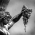 Avatar for perseus-ctx from gravatar.com