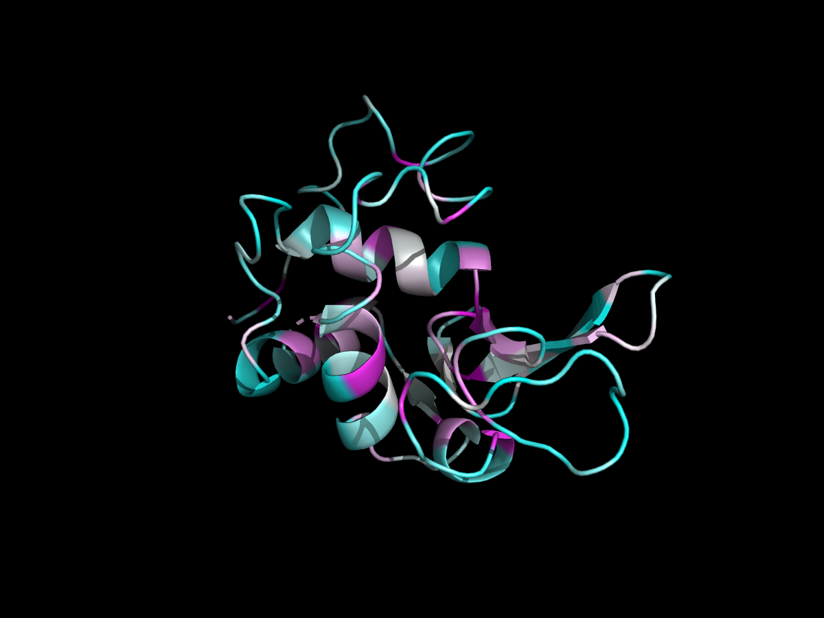 Lysozyme (1LYZ) coloured by evolutionary conservation from a 5,507-sequence alignment