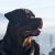Avatar for mariyasnow from gravatar.com