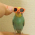 Avatar for BirbTheDeveloper from gravatar.com
