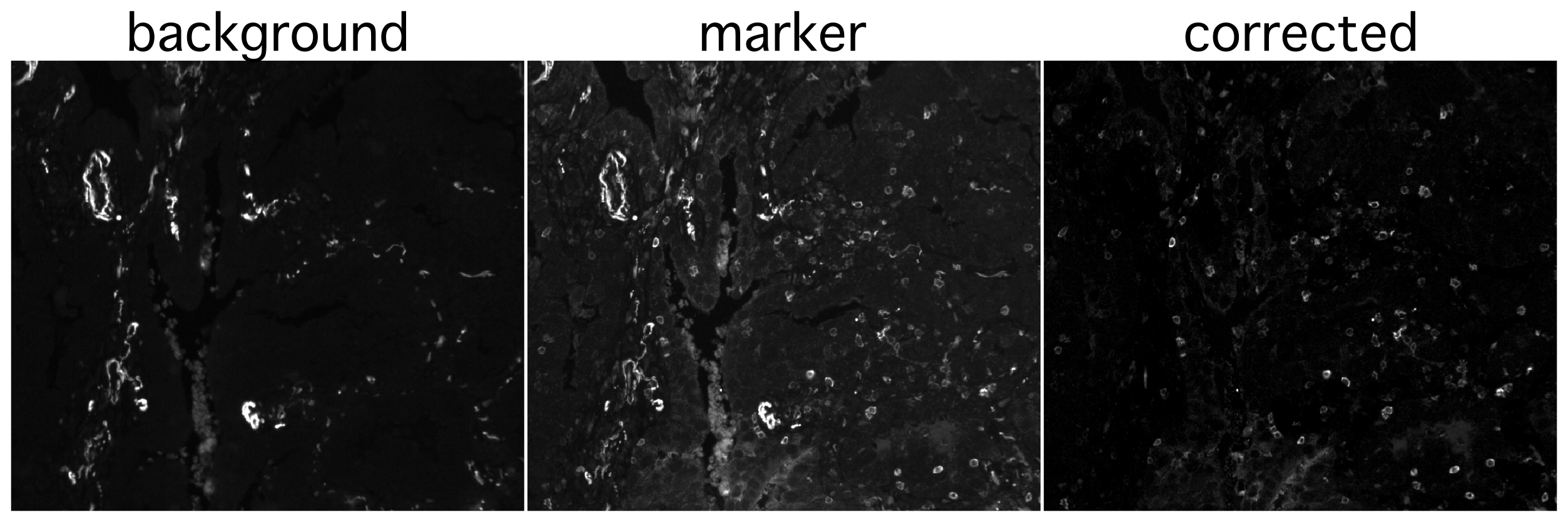 Background subtraction example