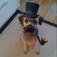 Avatar for Francois from gravatar.com