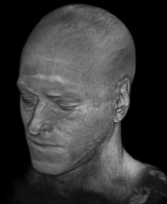 https://raw.githubusercontent.com/neuropoly/gifmaker/master/docs/brain.gif