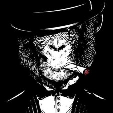 Avatar for Ludovic Heyberger from gravatar.com