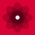 Avatar for reactjs from gravatar.com