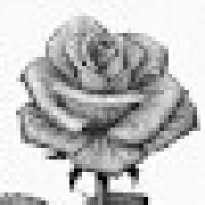 Avatar for tehya from gravatar.com