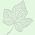 Avatar for ivybiosciences from gravatar.com