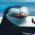 Avatar for pandeyps from gravatar.com