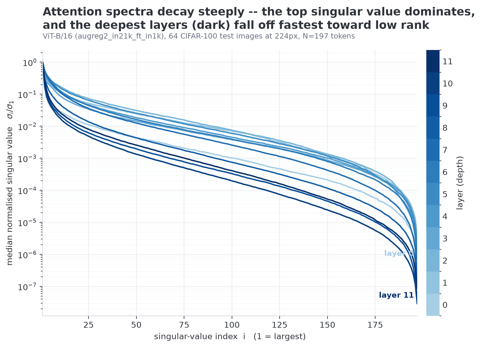 Attention spectra decay steeply across all 12 layers
