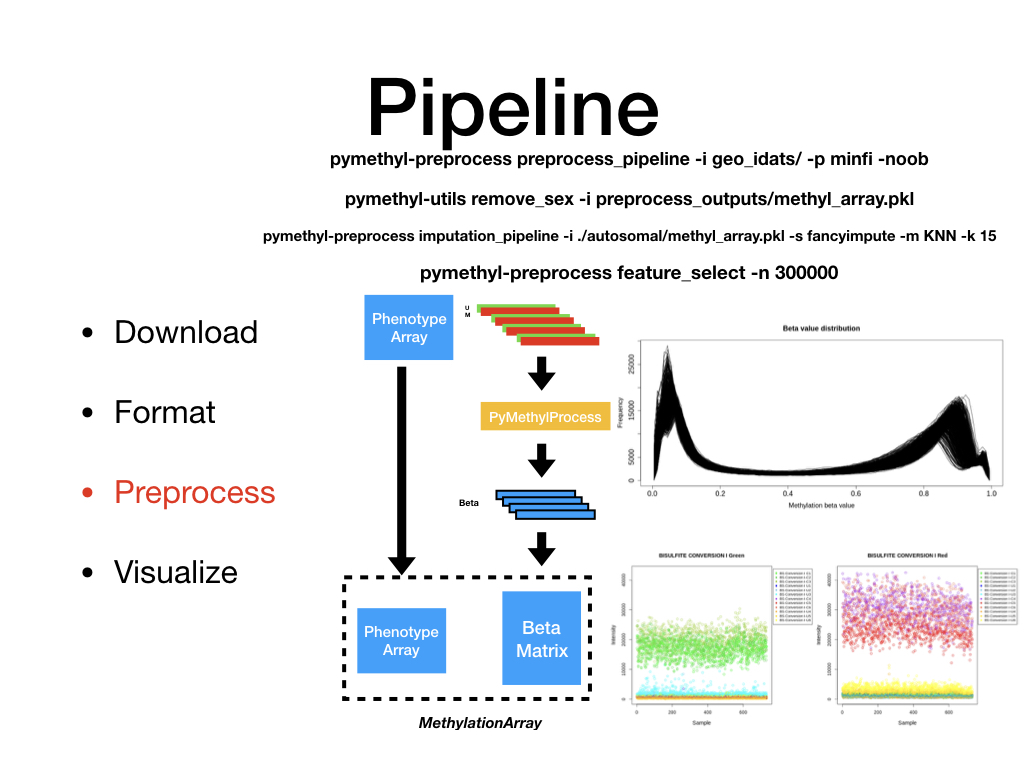 pipeline-preprocess